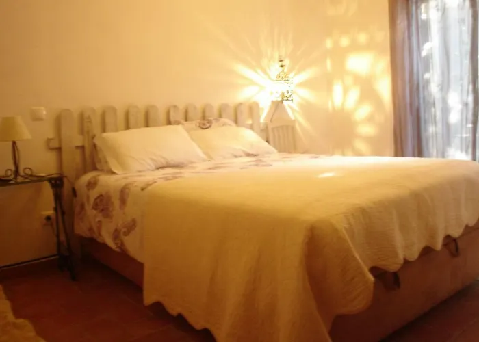 Quinta Da Sao Joao - Villa Oliveira