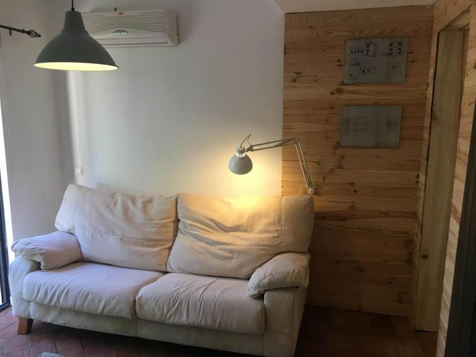 Quinta Da Sao Joao - Oliveira Holiday home