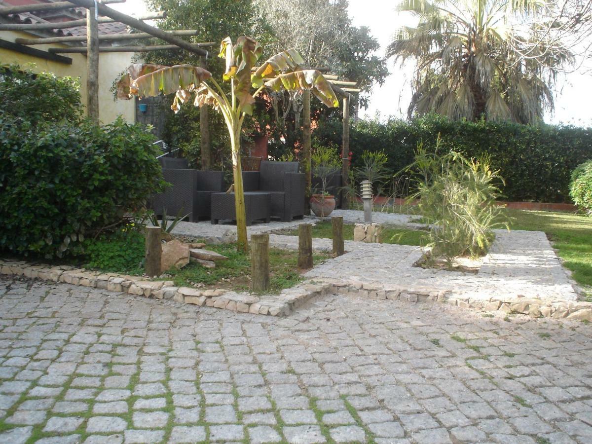 Quinta Da Sao Joao - Oliveira *