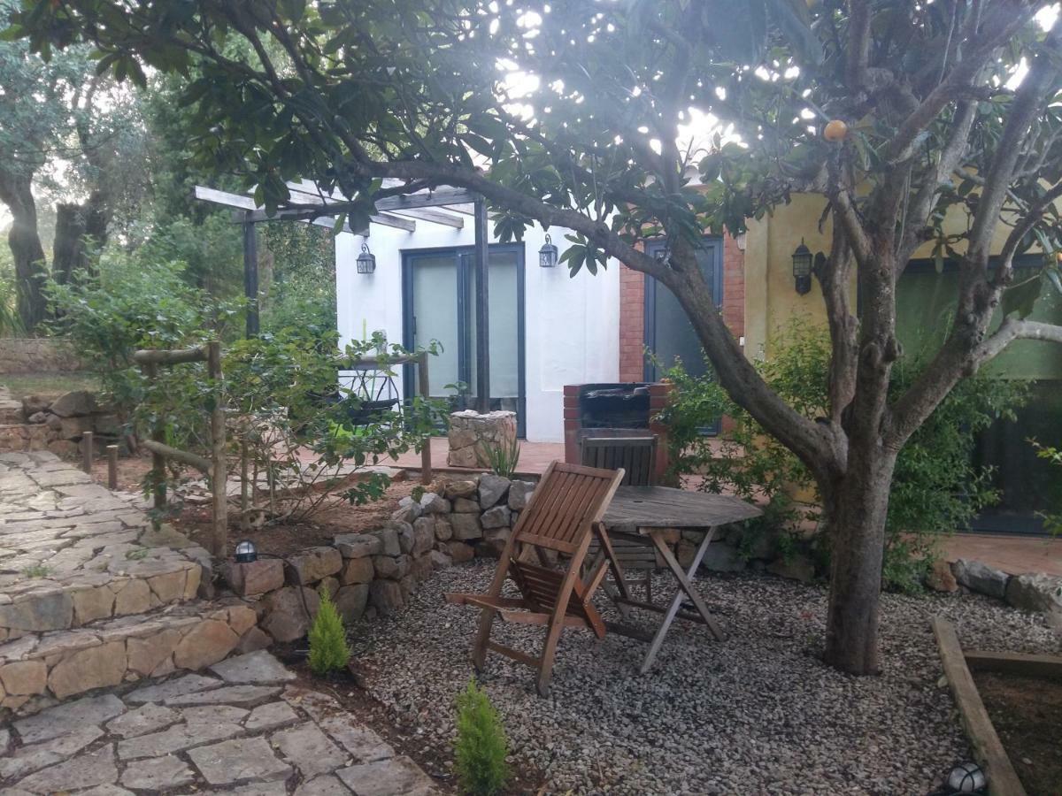 Quinta Da Sao Joao - Oliveira