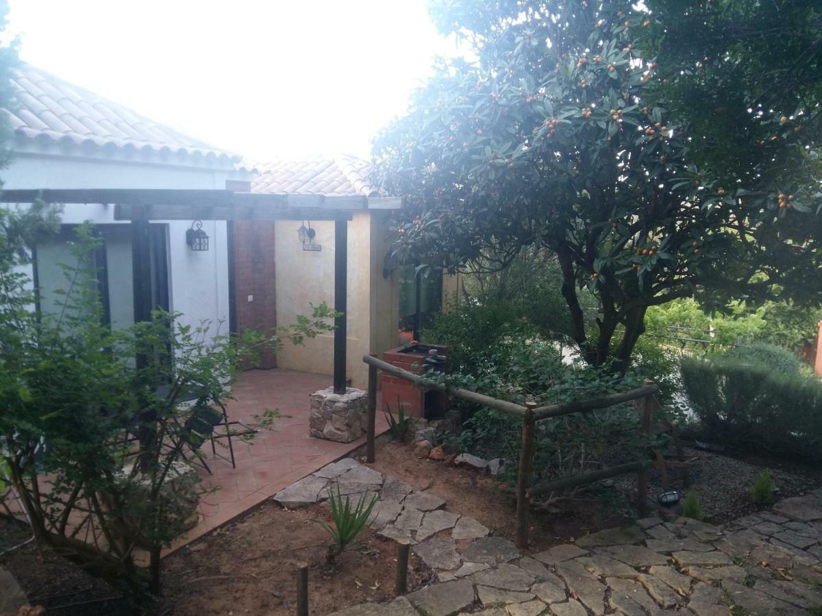 Quinta Da Sao Joao - Oliveira
