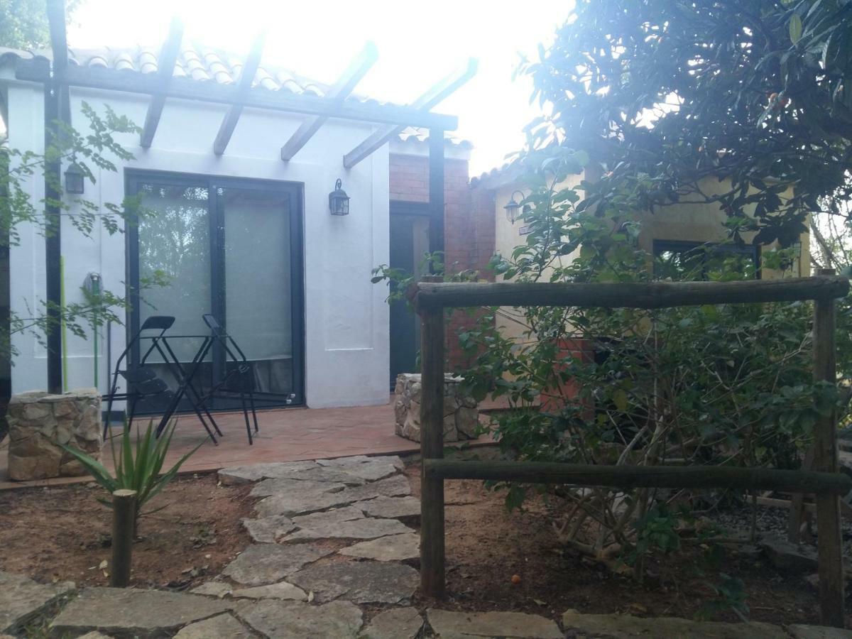 Quinta Da Sao Joao - Oliveira * Olhao