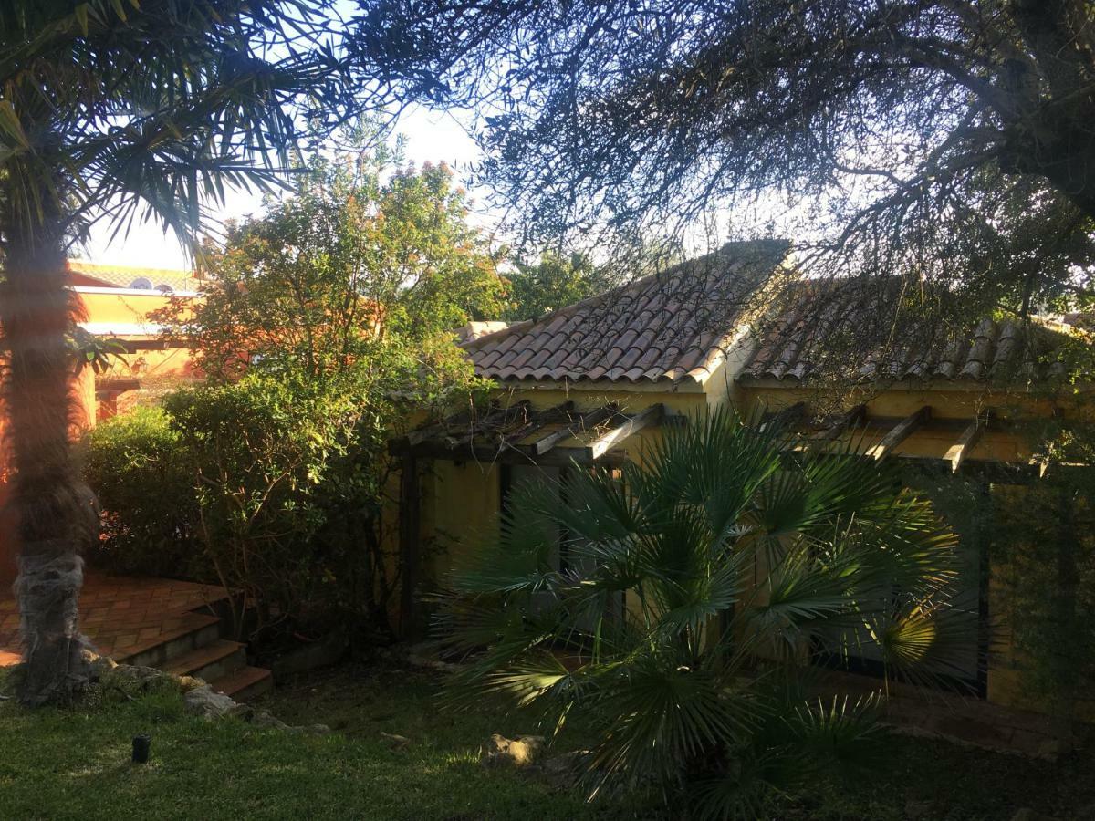 Quinta Da Sao Joao - Oliveira Olhao