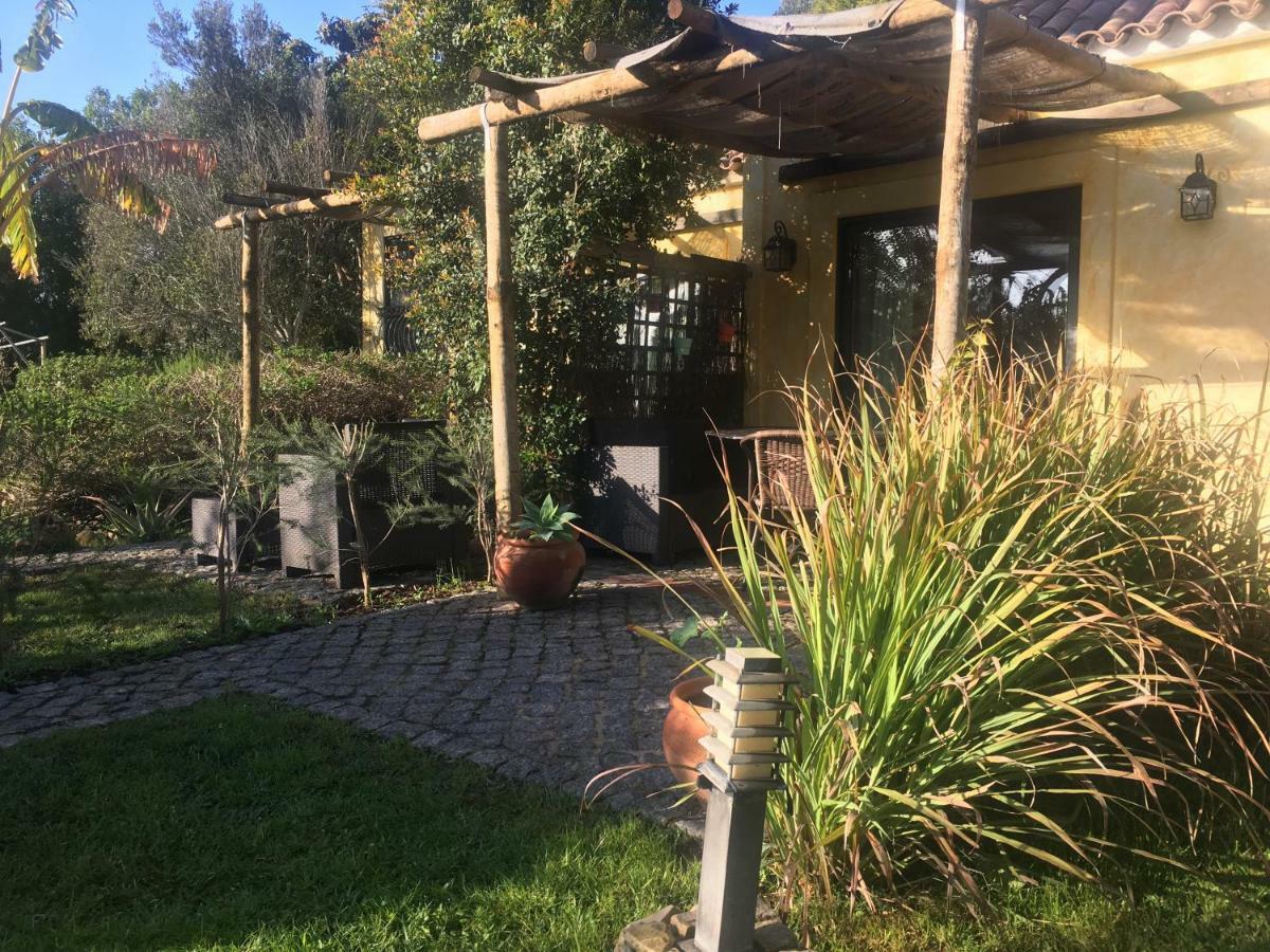 Holiday home Quinta Da Sao Joao - Oliveira