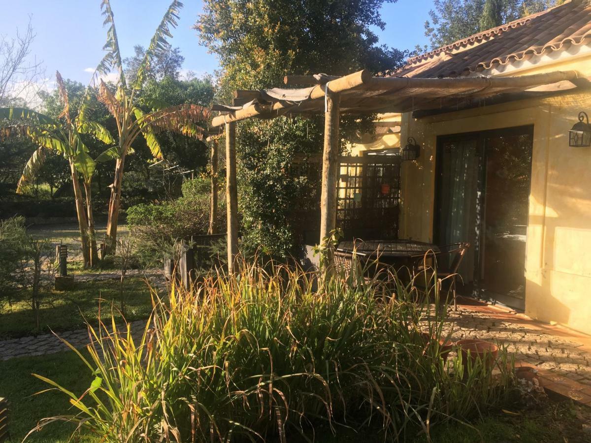 Holiday home Quinta Da Sao Joao - Oliveira *