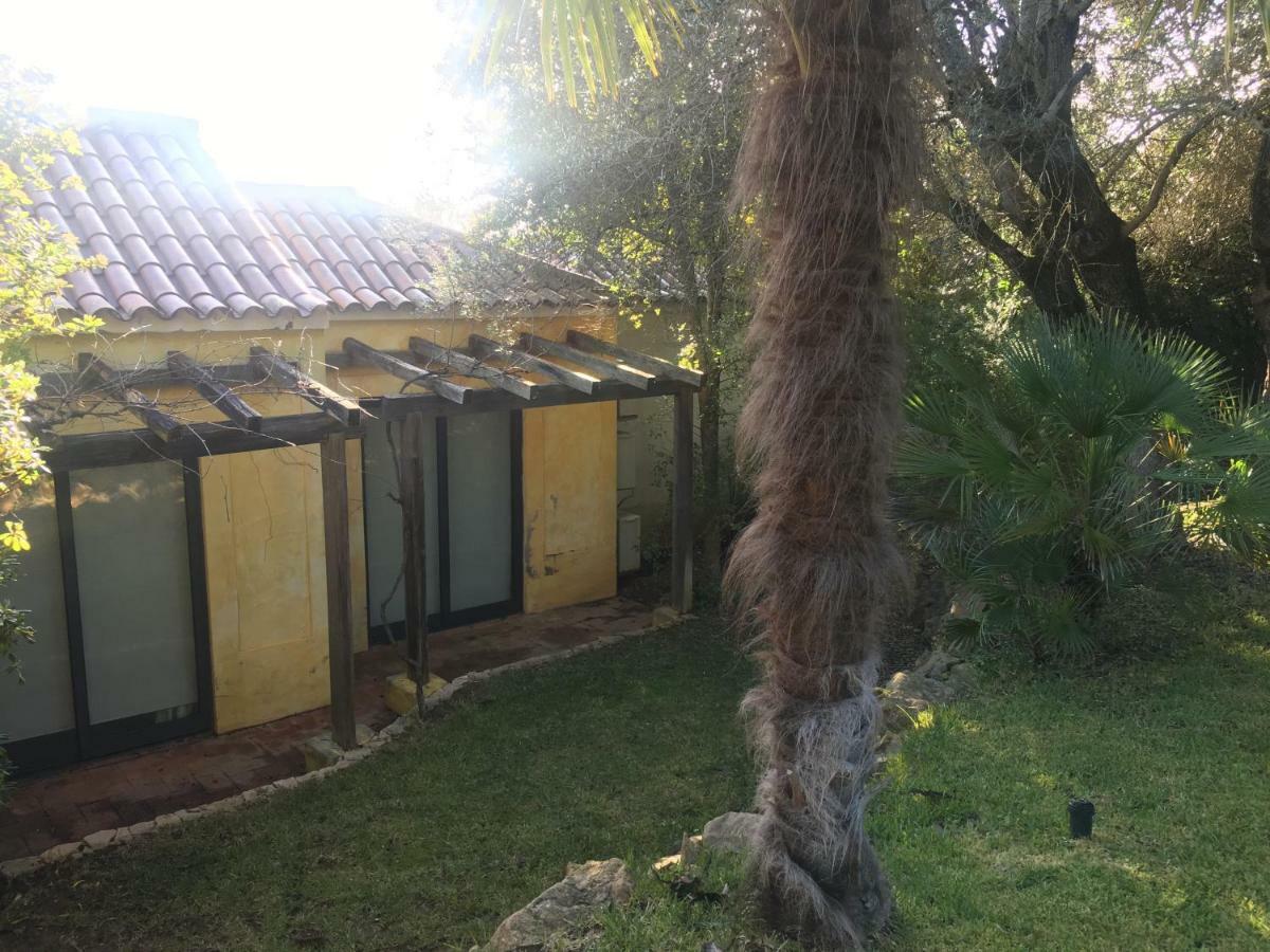 Quinta Da Sao Joao - Oliveira