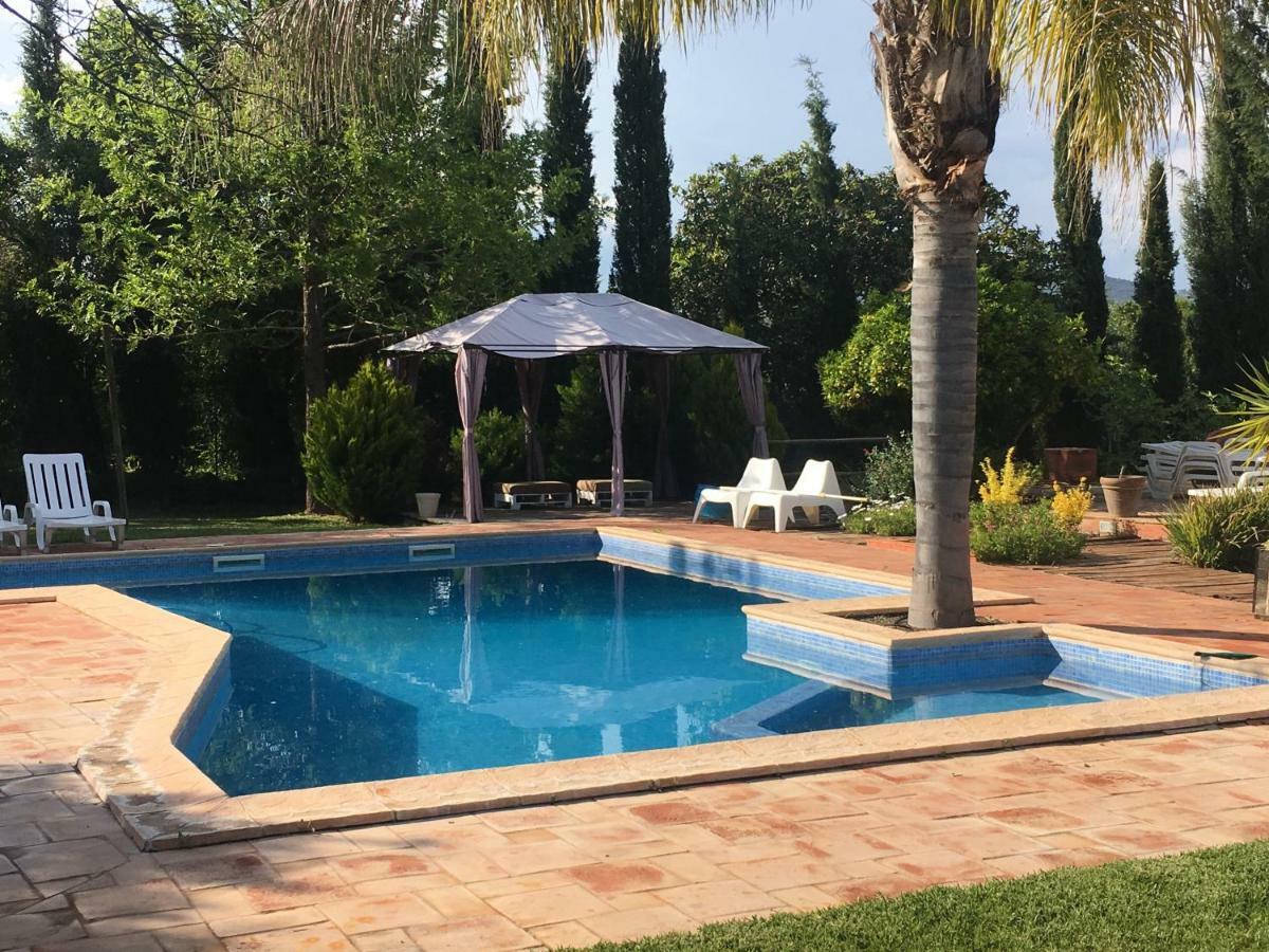 Quinta Da Sao Joao - Oliveira *