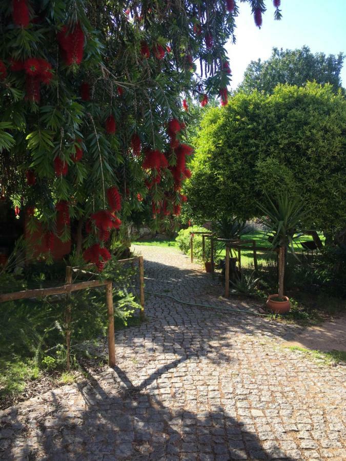 Holiday home Quinta Da Sao Joao - Oliveira